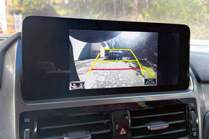 Swing-Out Camera Mount